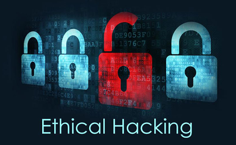 What does an Ethical Hacker do?